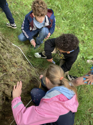 greenweek2022-18